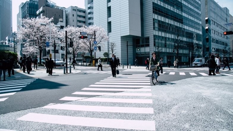 Good Day To Take A Photo With Your Favourite B53bd193 Img